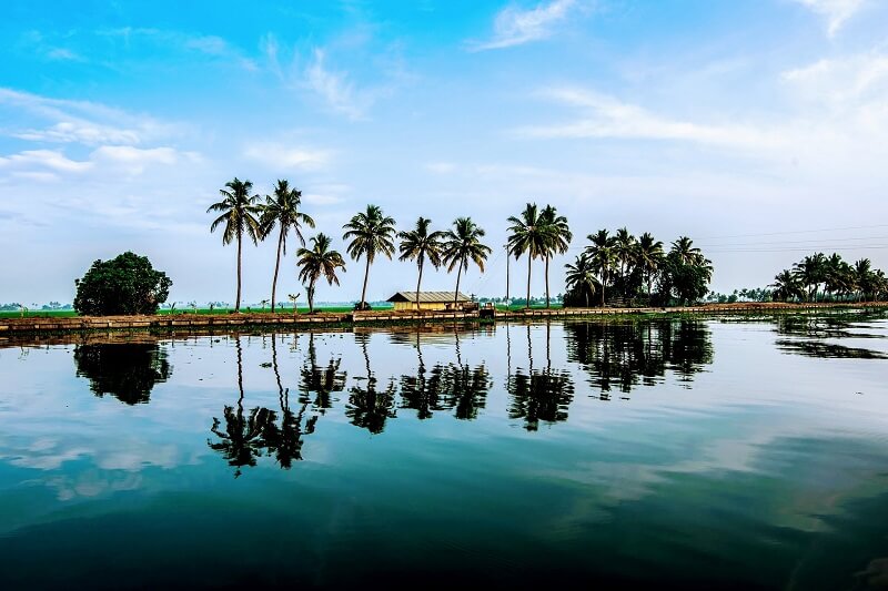 Lake view in Alleppey